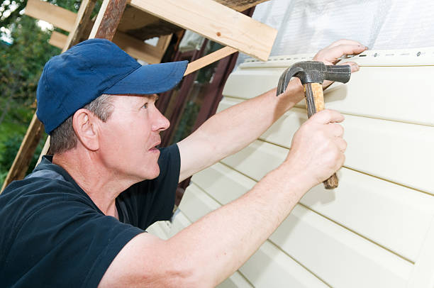 Best Aluminum Siding Installation  in Peridot, AZ