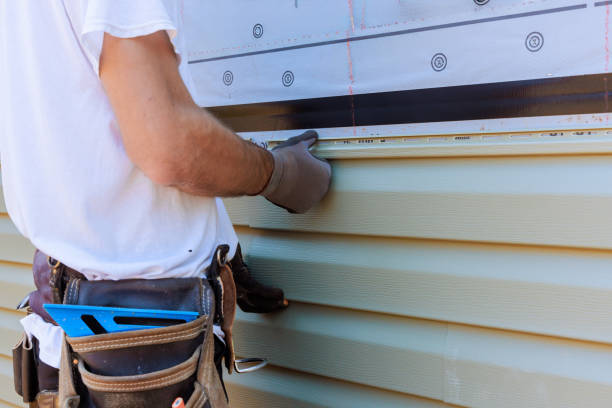 Best Steel Siding Installation  in Peridot, AZ